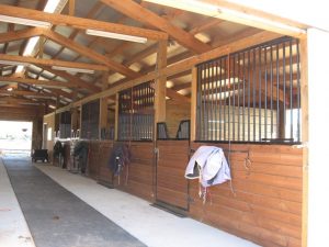 8 stall center aisle barn